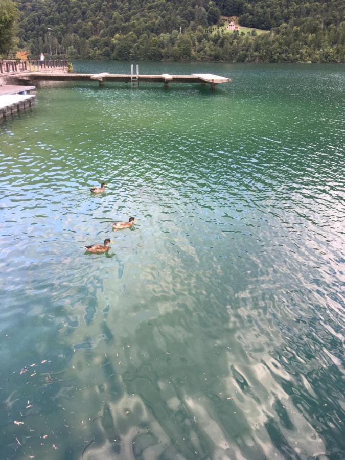 Casa A Schiera Fronte Lago Con Giardino 바르치스 외부 사진